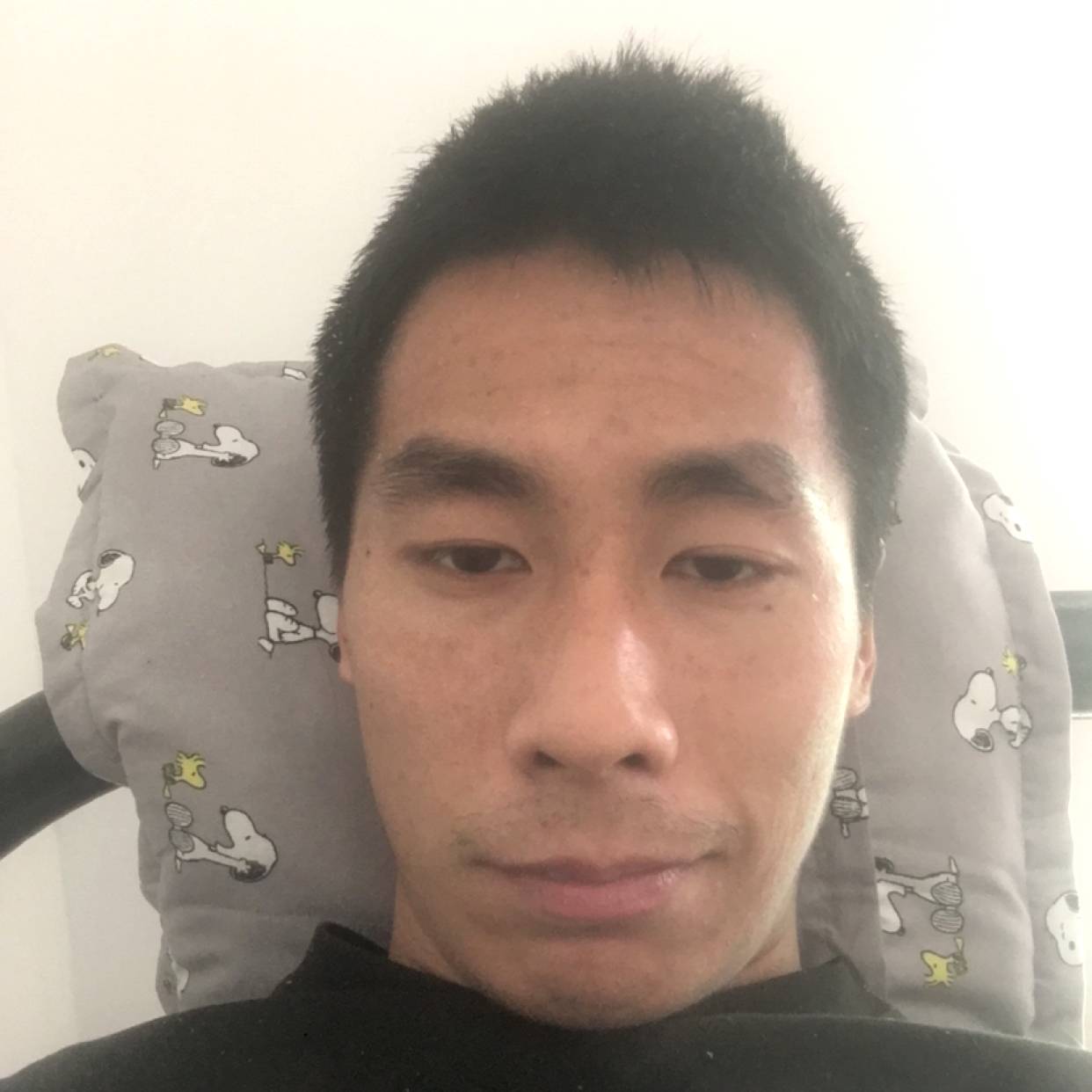 沉静凝眸鸭子的照片
