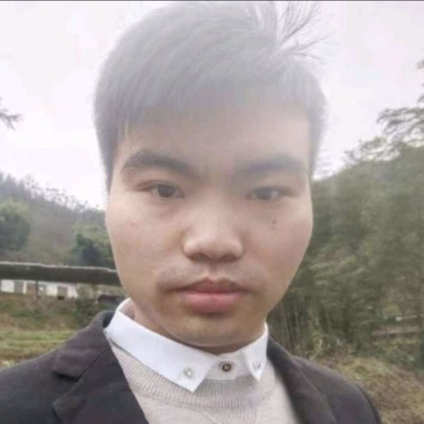 夕阳演变拼搏的照片