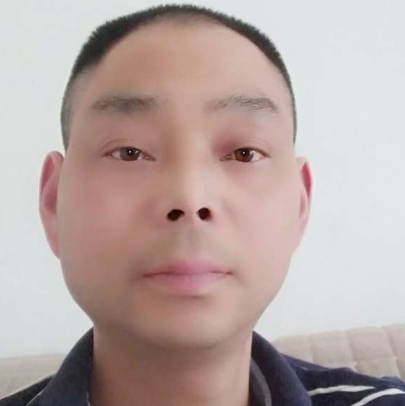 寂冷迎绿草的照片