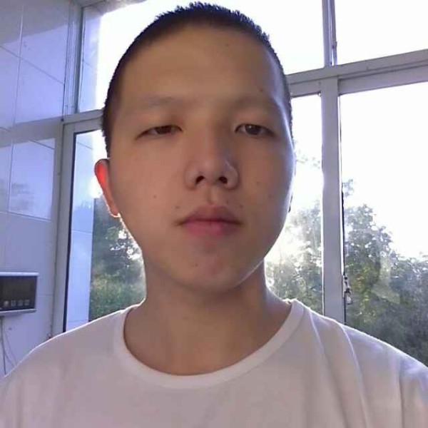 森林里了的照片