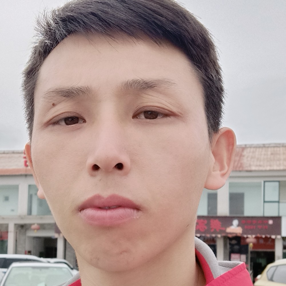 黛儿迎直率的照片