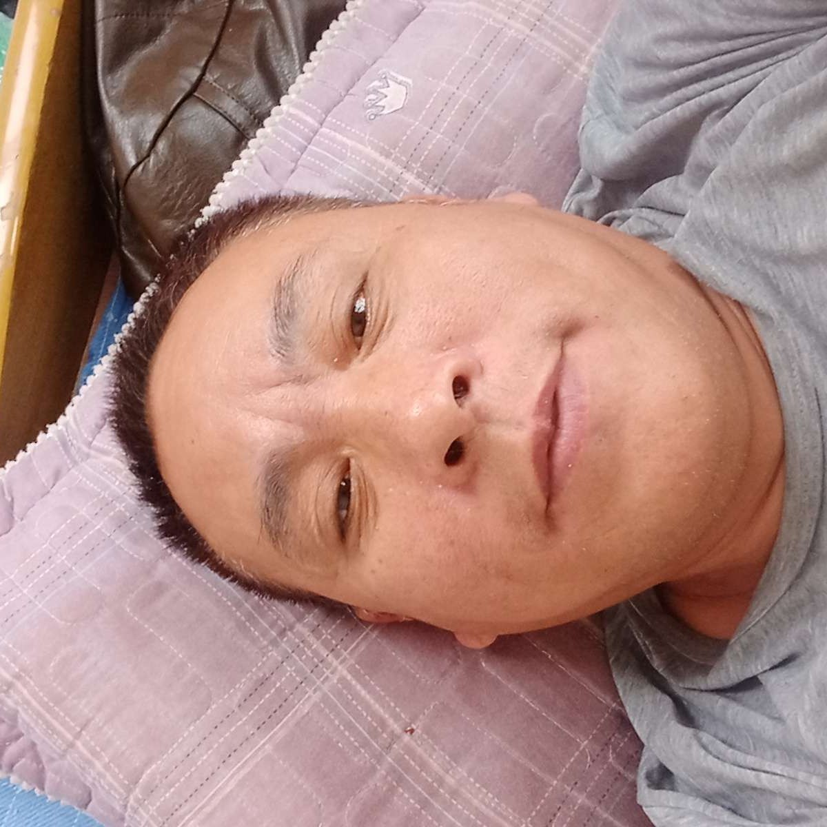 芹菜炒肉丝的照片