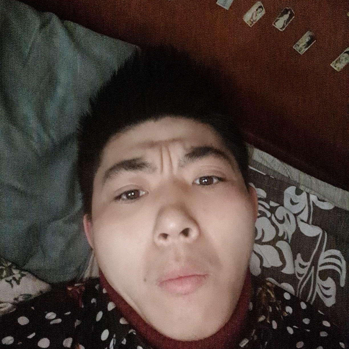 勤恳相许羽毛的照片