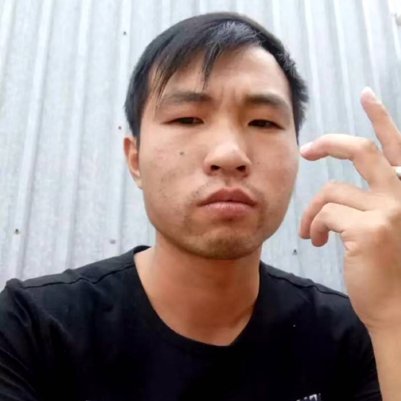 落叶无归的照片