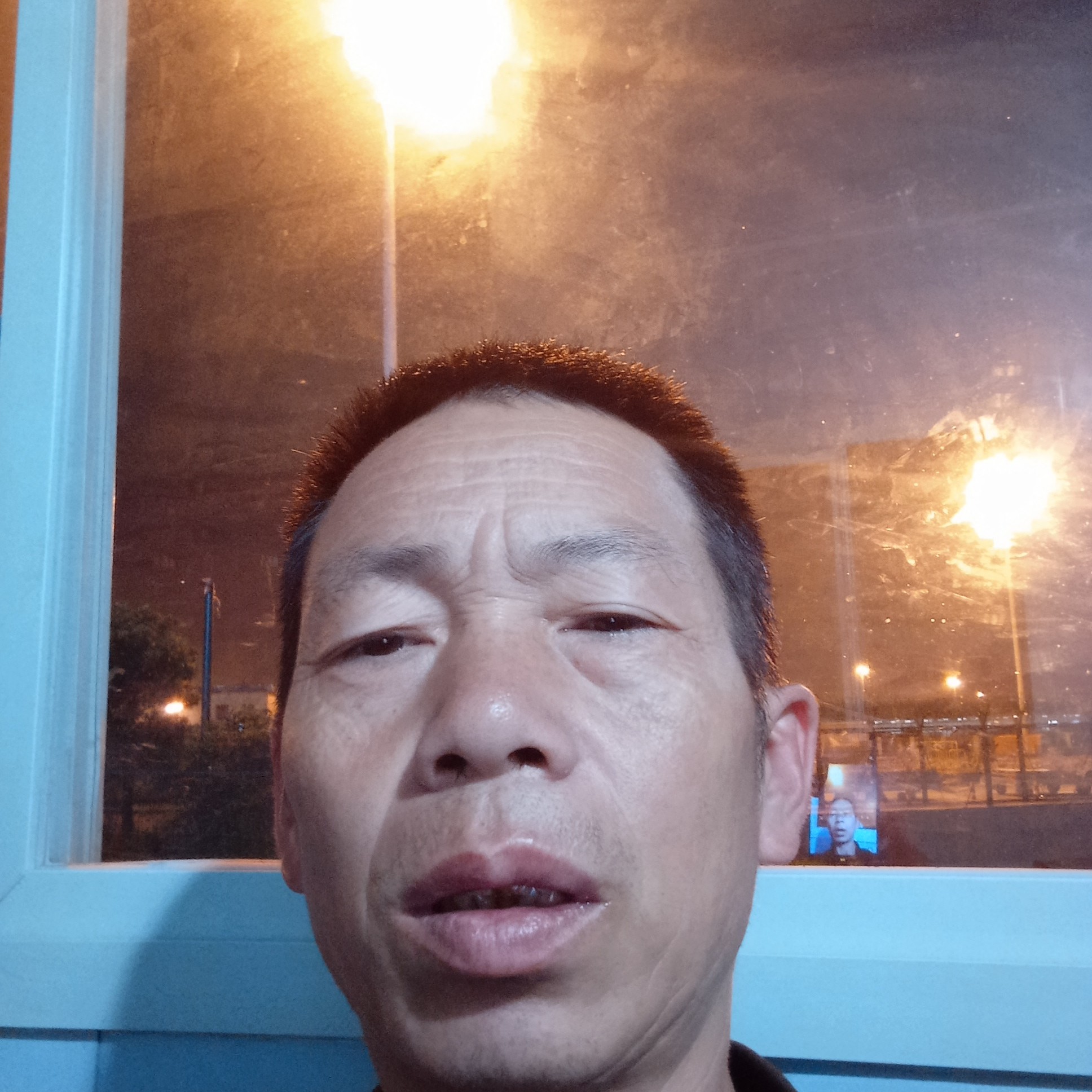 树叶演变腼腆的照片