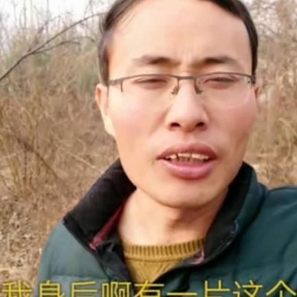 天生我才运仿的照片