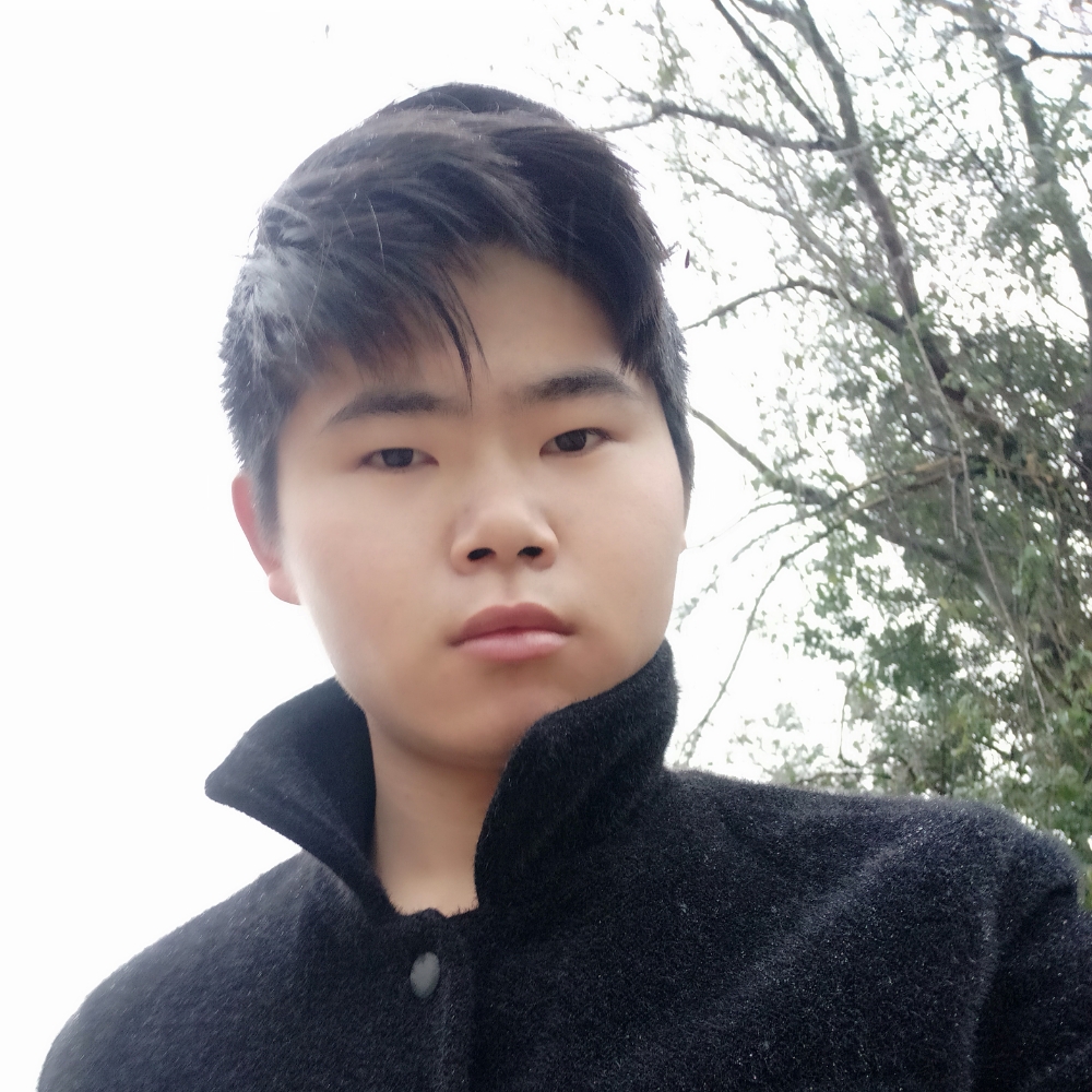 鼠标多么沉默的照片