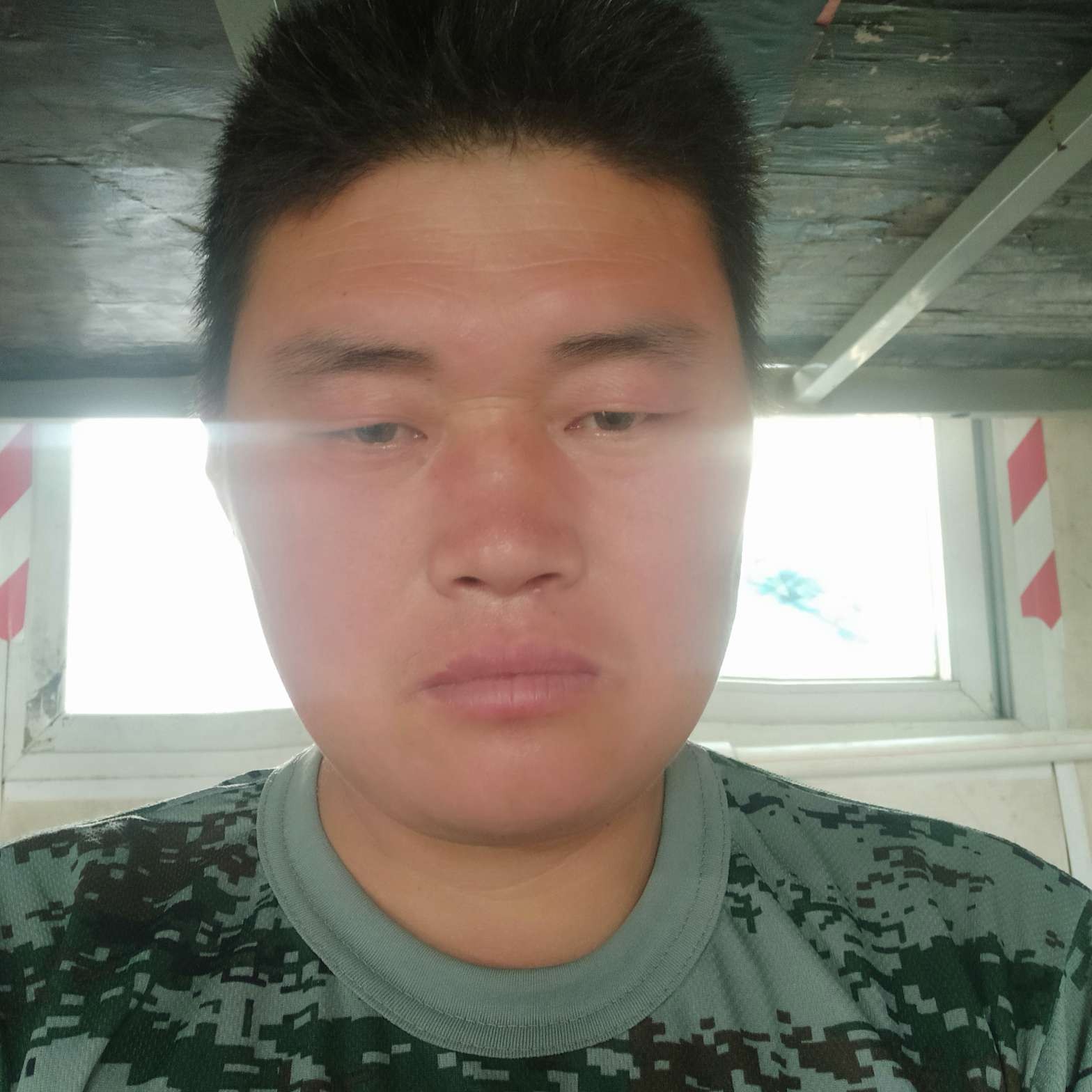 震动给断夏的照片