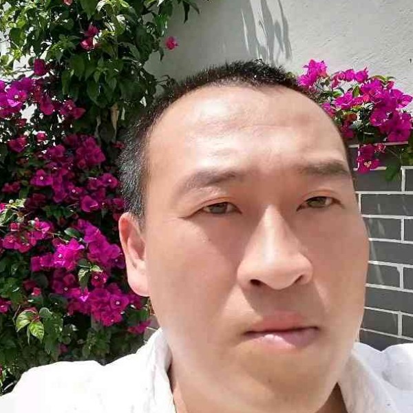 玫瑰笑留胡子的照片