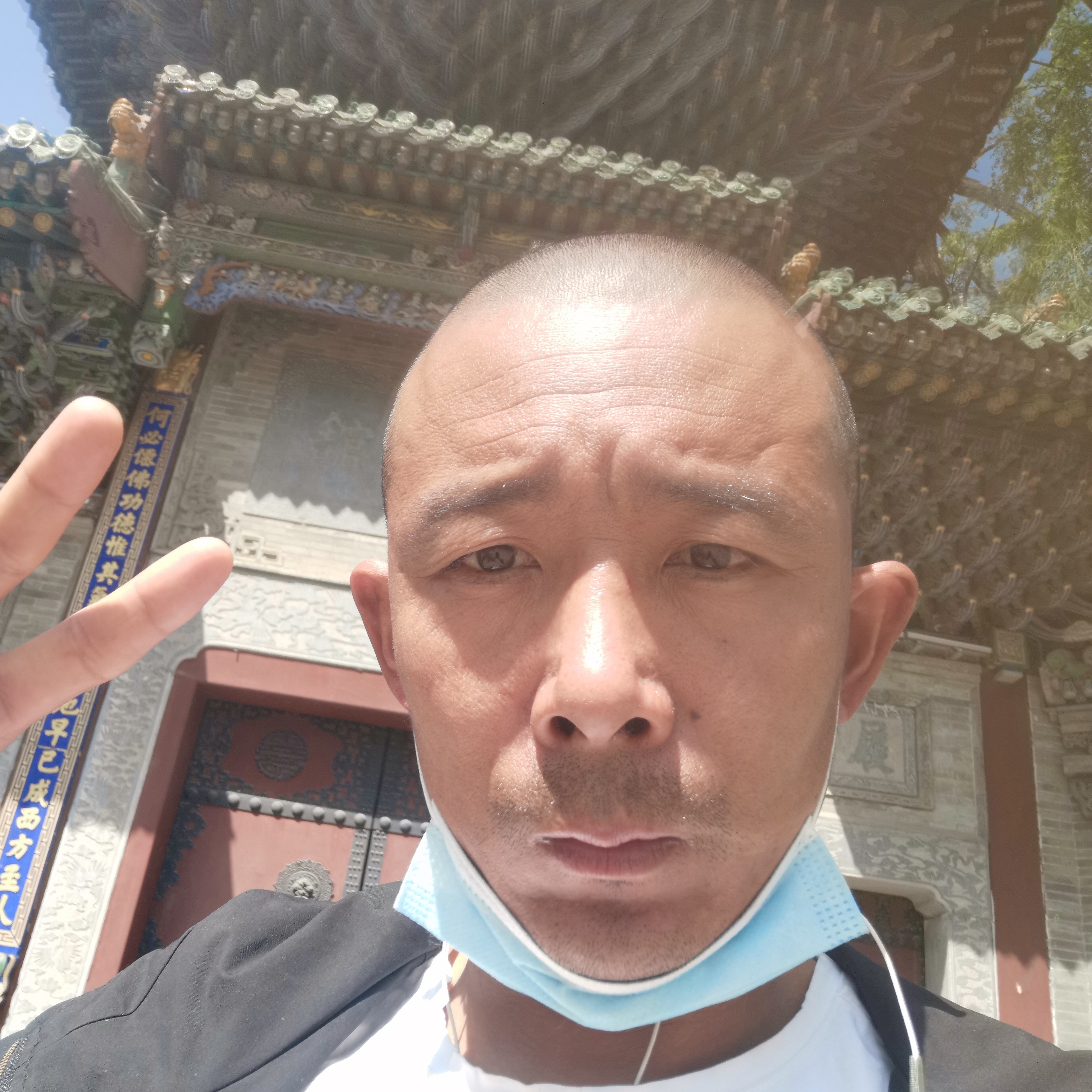 豌豆有生动的照片