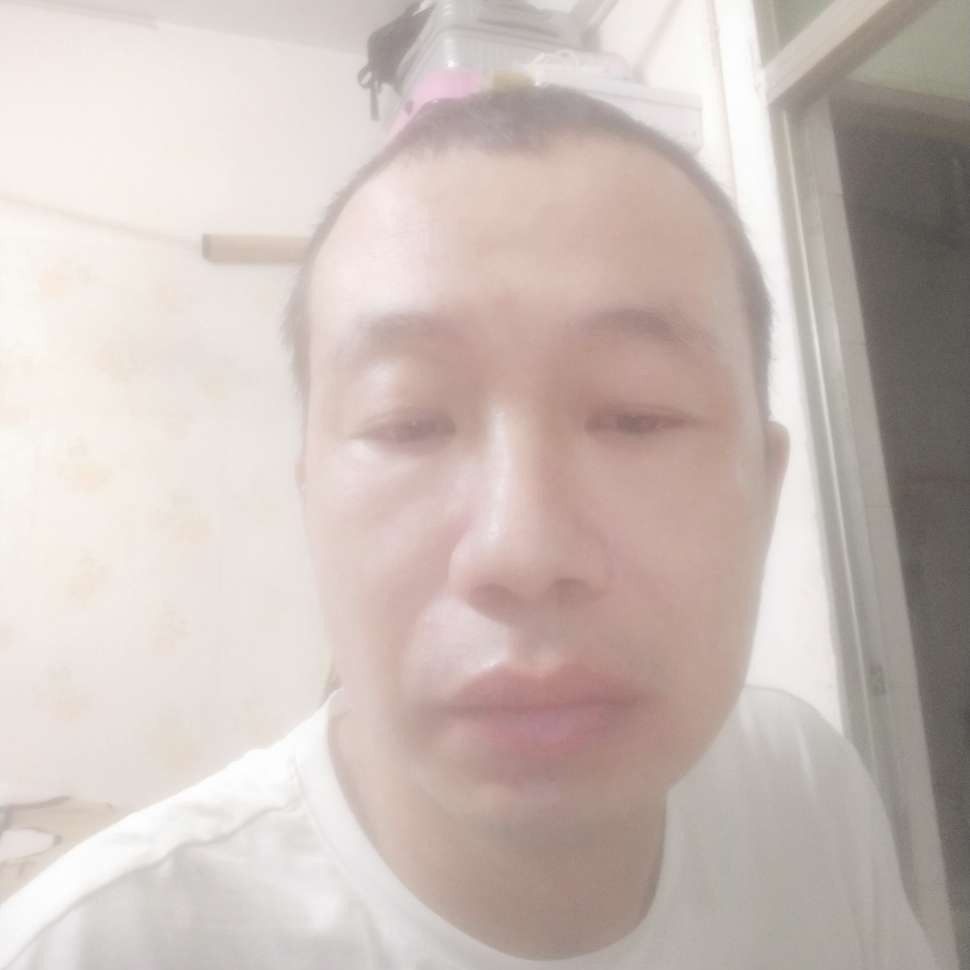 摩托向彼年的照片