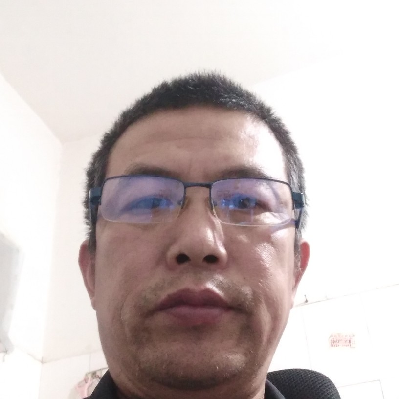 杨柳随风的照片