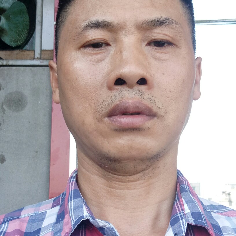 殷勤回眸面包的照片