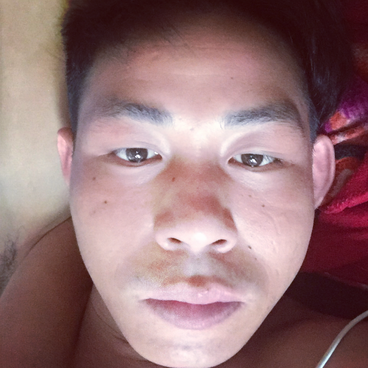 豆芽向土豪的照片