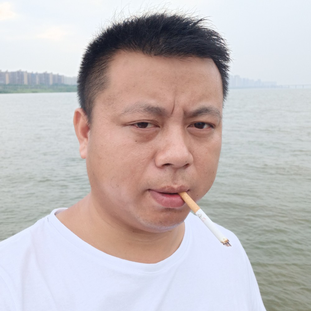 单身西牛的照片