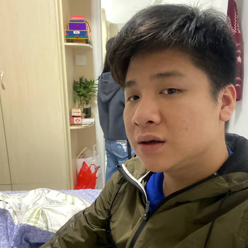 灵巧那翅膀的照片