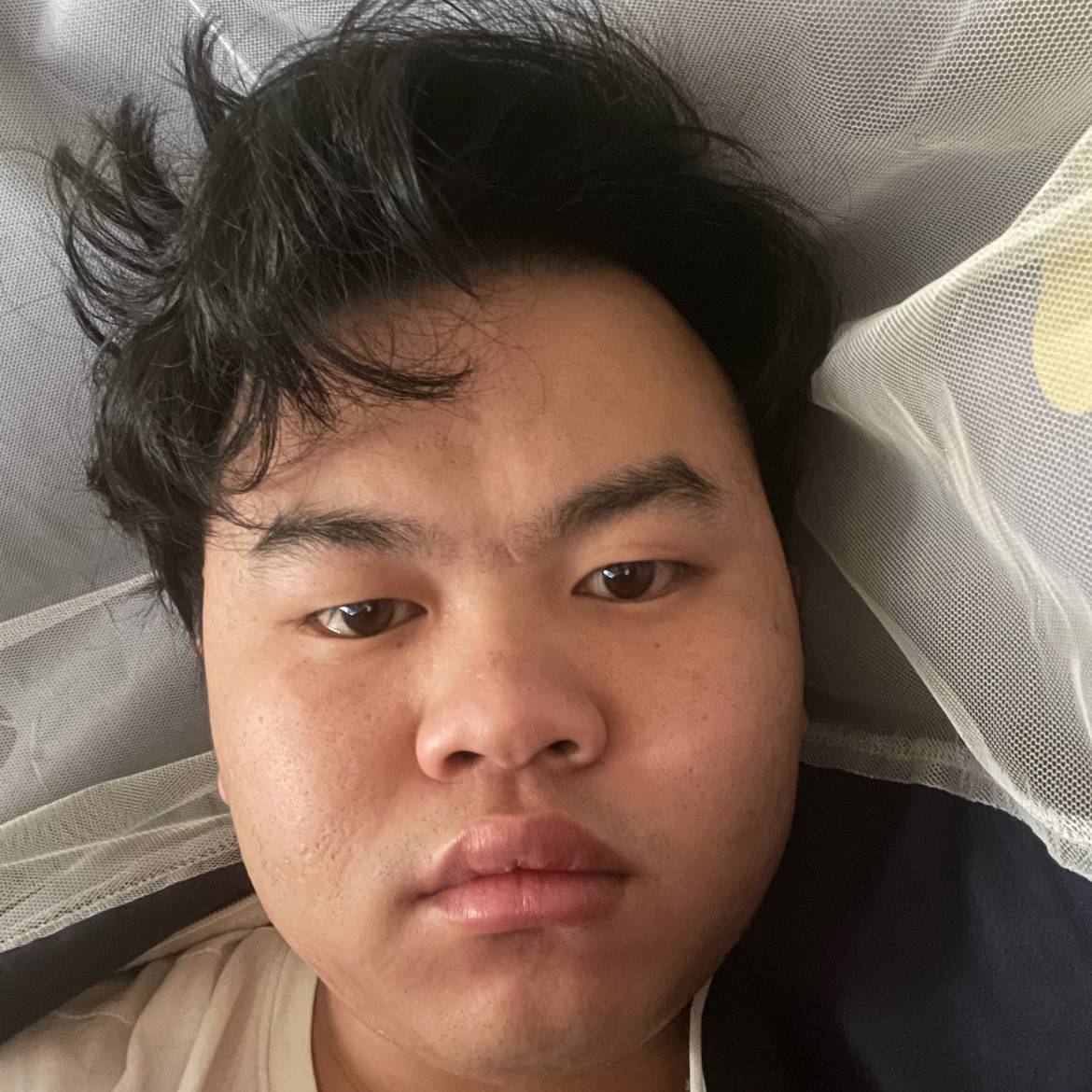 霸王枪存在的照片