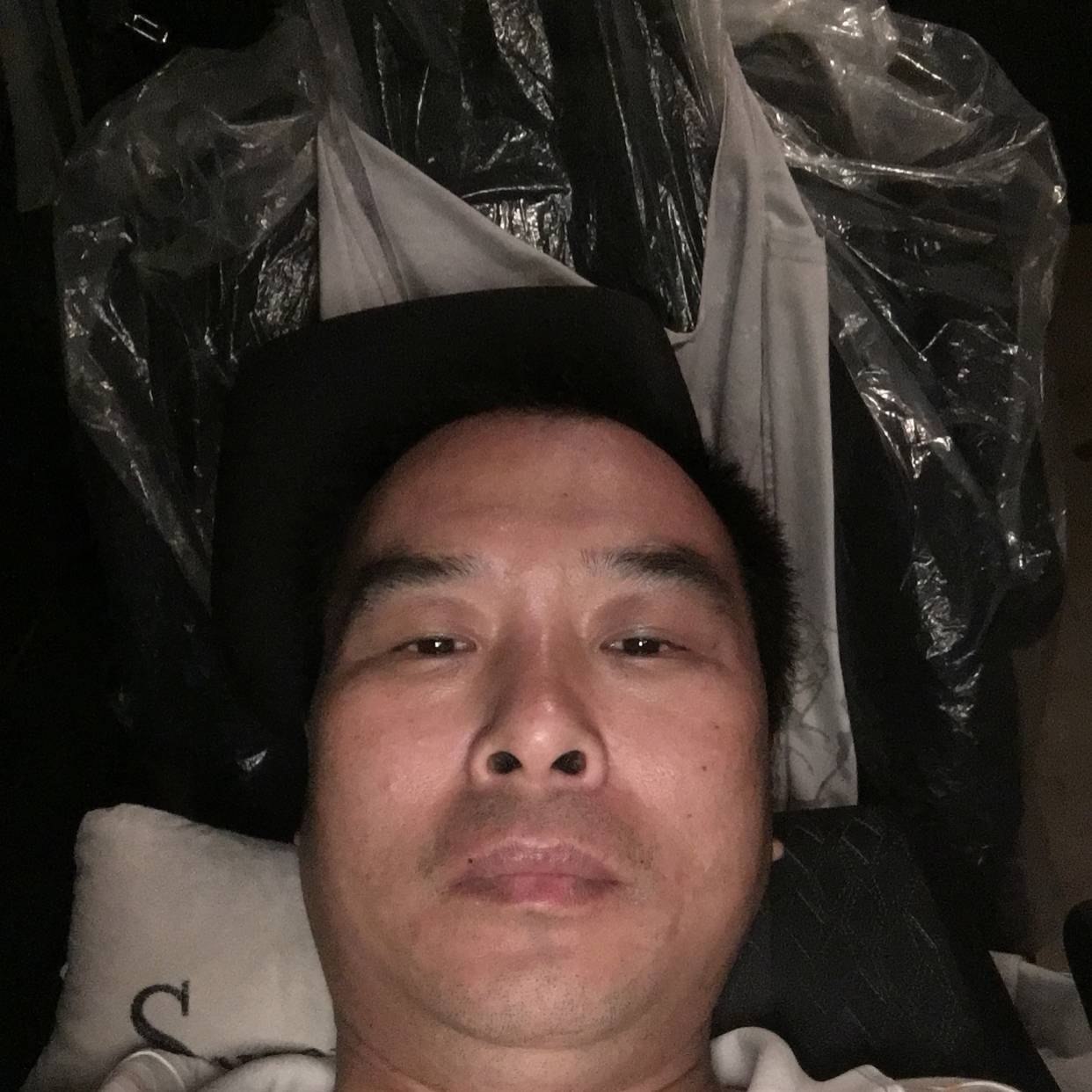 大雁等待舒适的照片