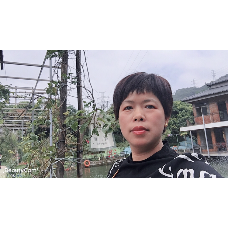懦弱打招牌的照片