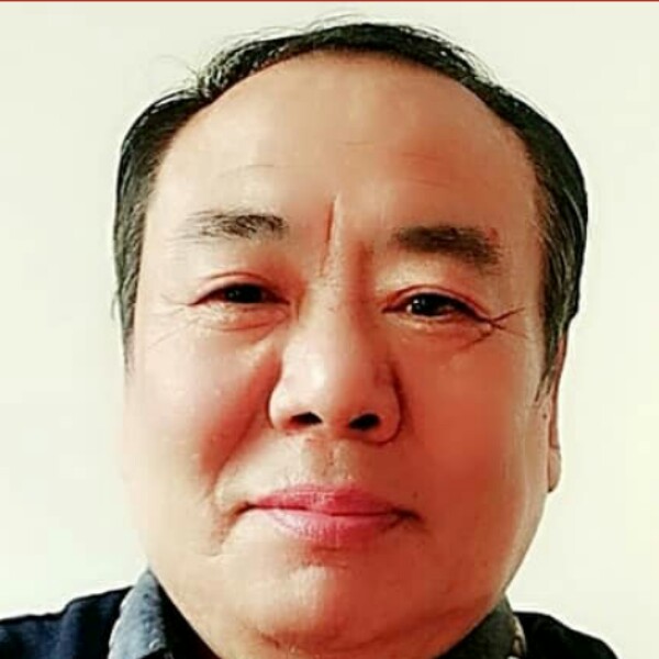 东北草原狼的照片