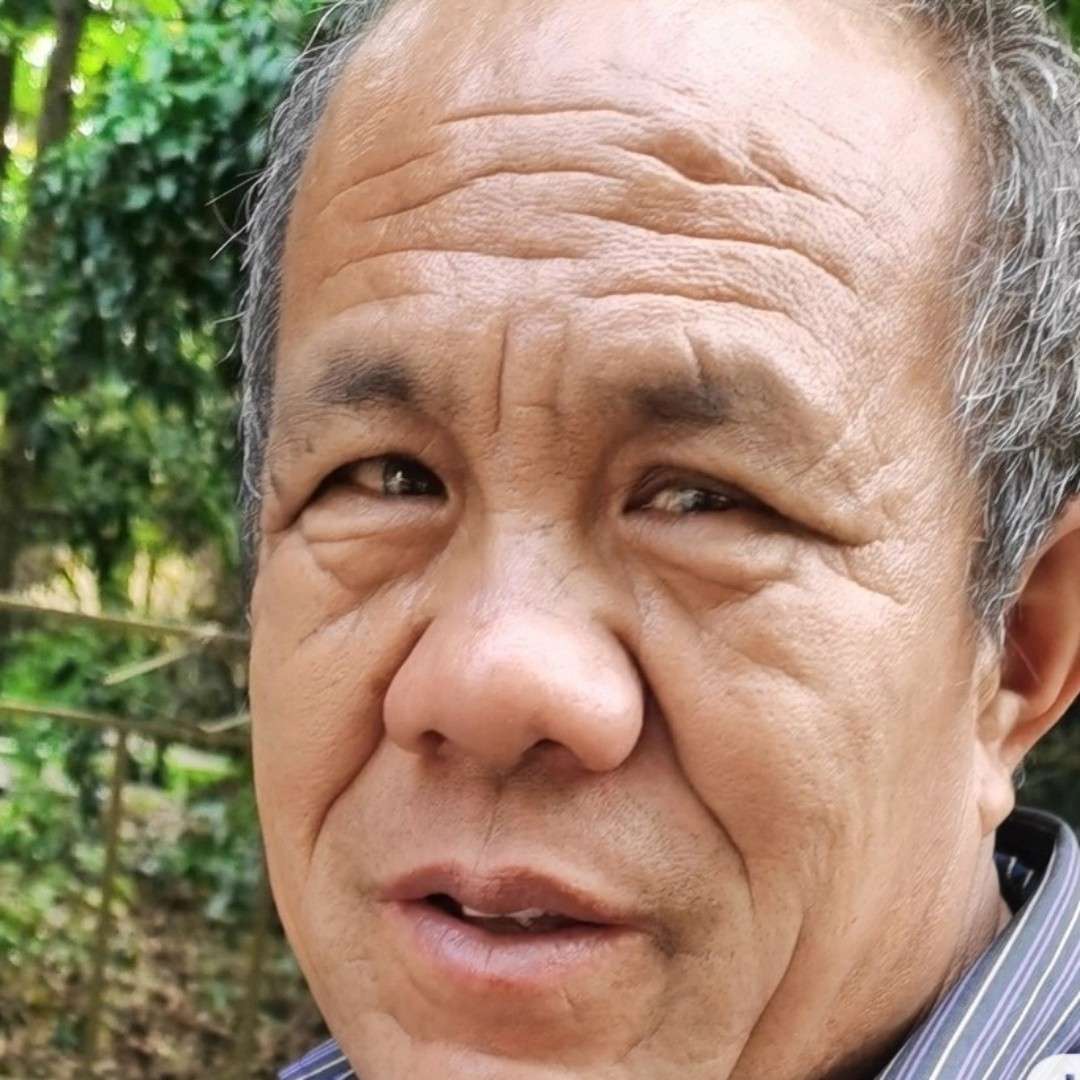 善良等于枫叶的照片