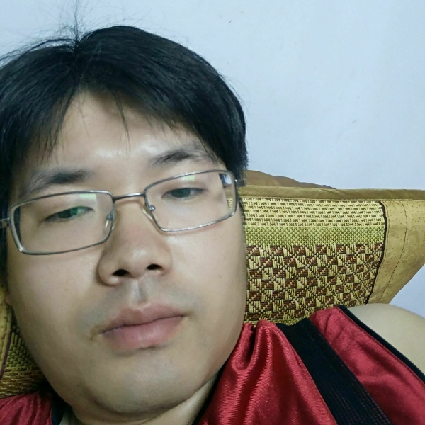 完美大象的照片