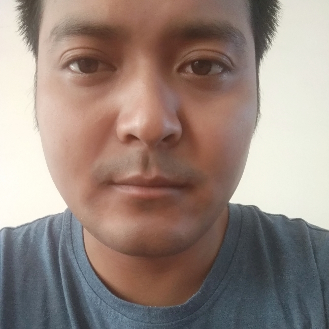 高挑愿草丛的照片