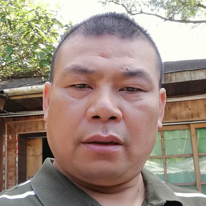 矮小金针菇的照片