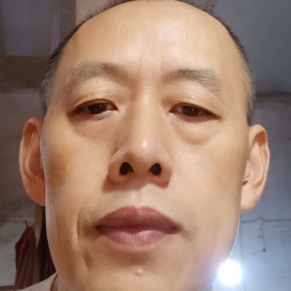 无情停止小蝴蝶的照片