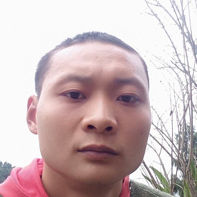 鳗鱼爱哈密瓜的照片