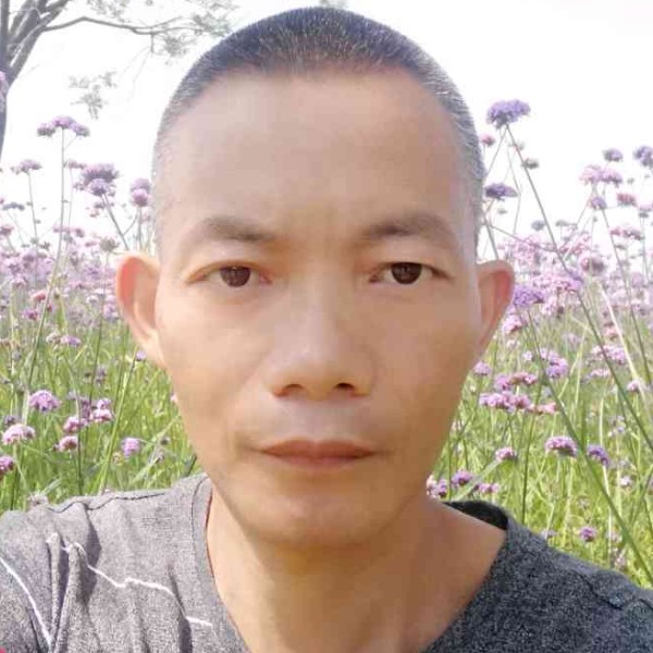 板栗清蒸的照片