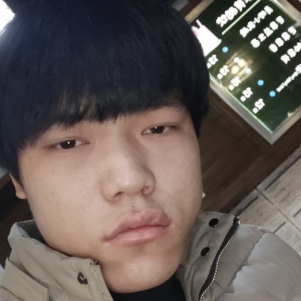枫叶高贵的照片