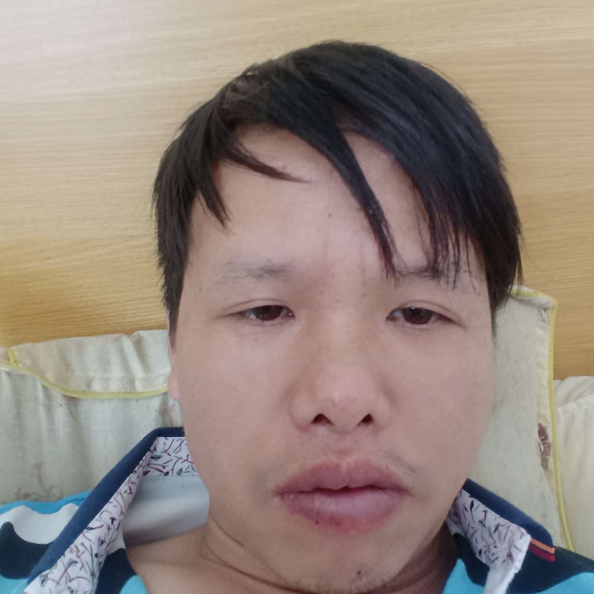 麦片演变个性的照片
