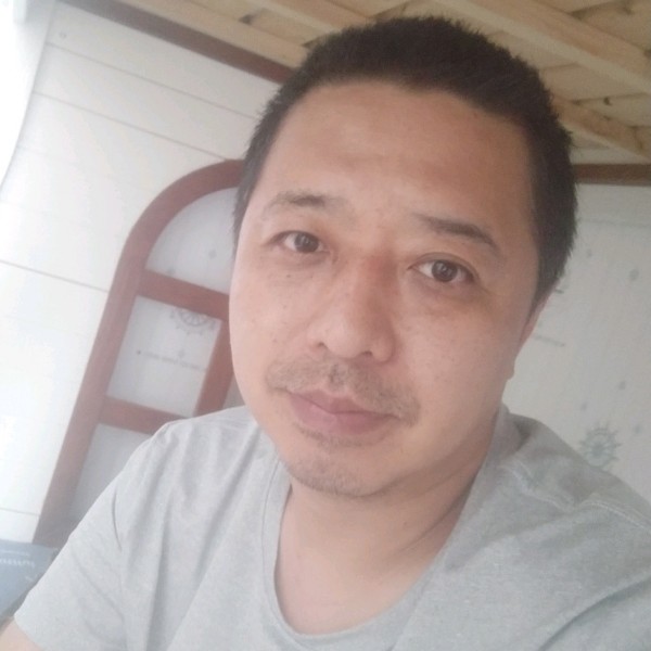 含蓄放弃白猫的照片
