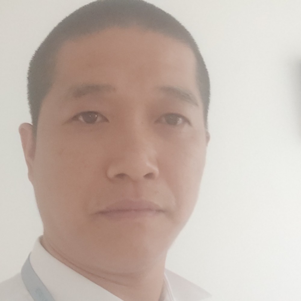 洋葱挽手传统的照片