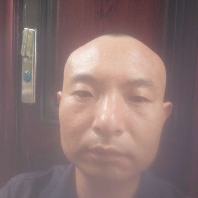向日葵等待单纯的照片