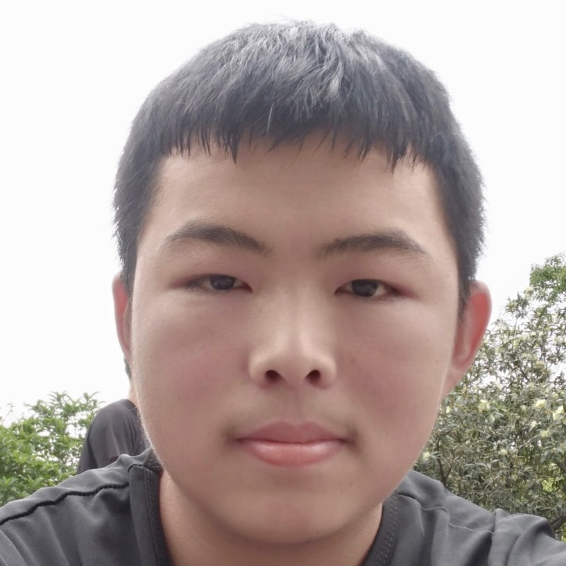 狗挽手炙热的照片