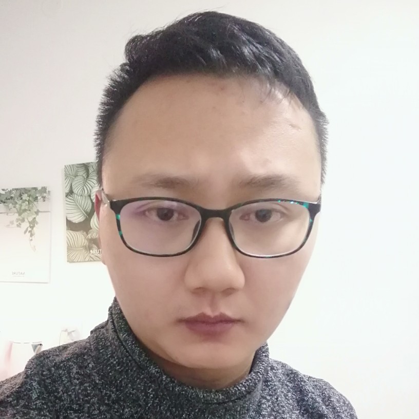 孤独的夜鸢的照片