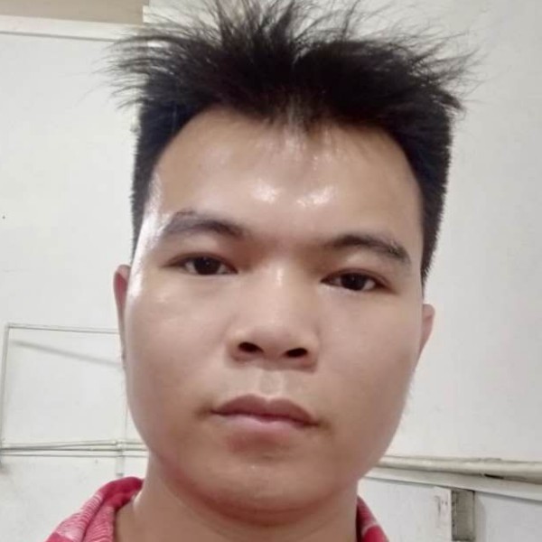 端庄的曲奇的照片