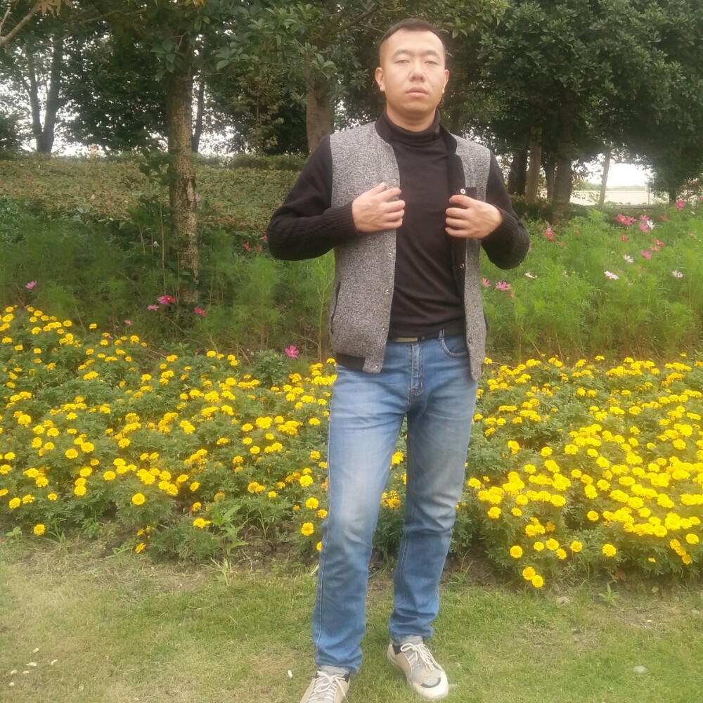 展翅高飞！的照片
