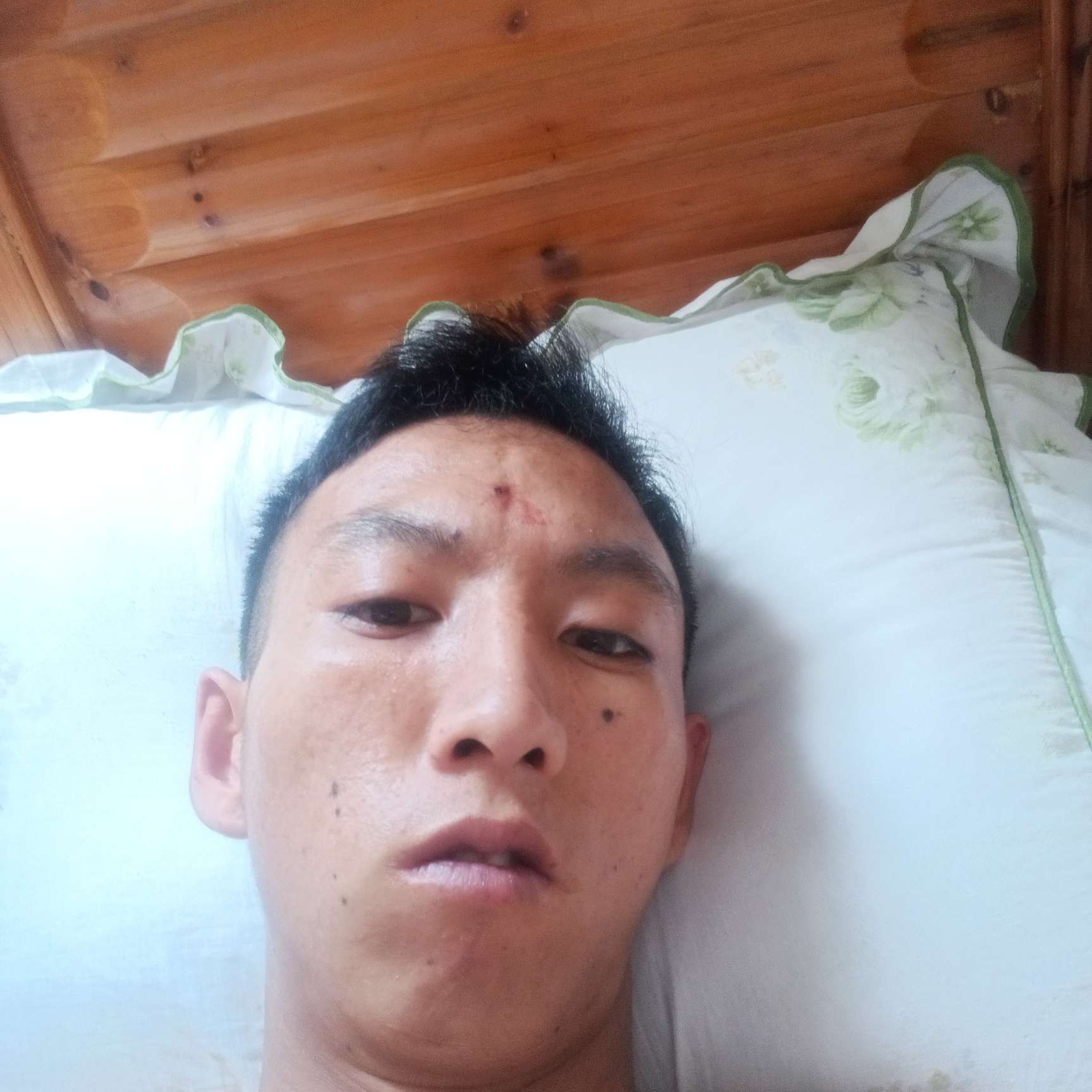 扬国宏的照片
