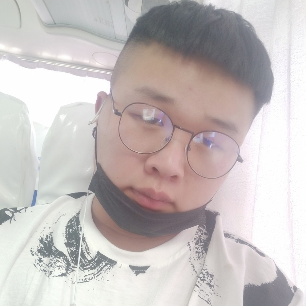 斑马最后的的照片