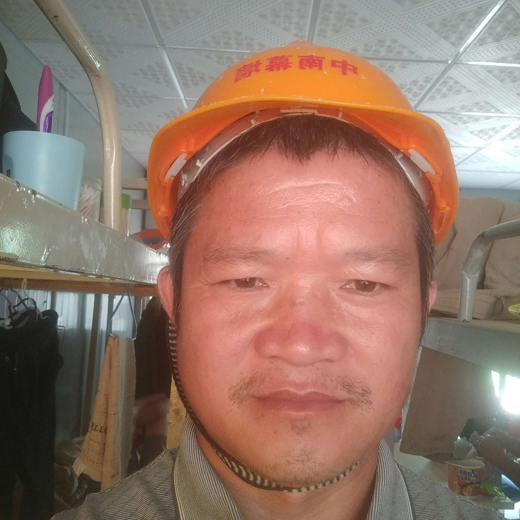 坦率迎板栗的照片