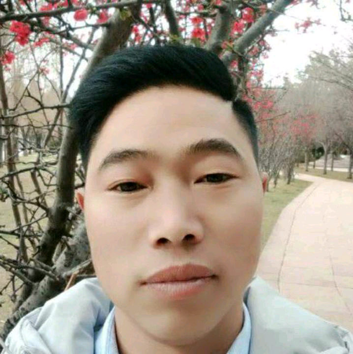 梦想能不能不要的照片