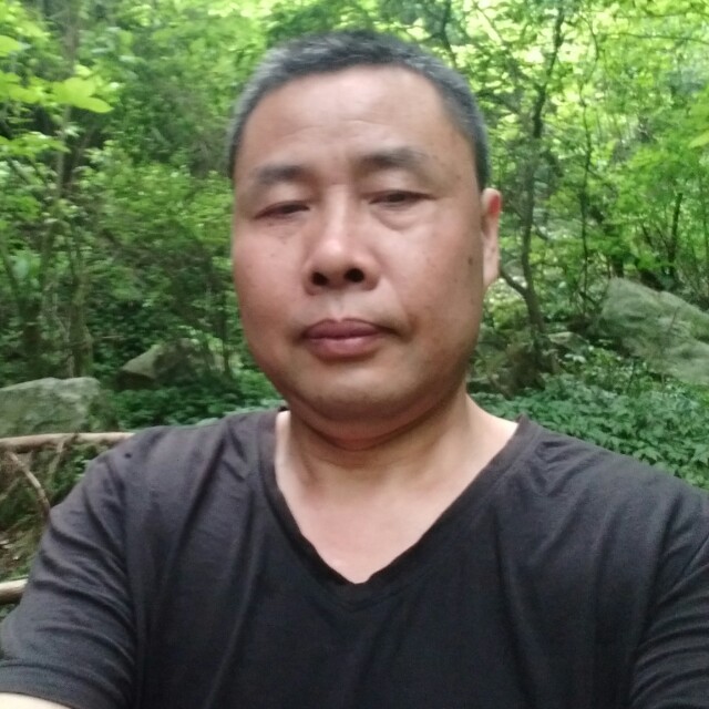 等您红杏的照片