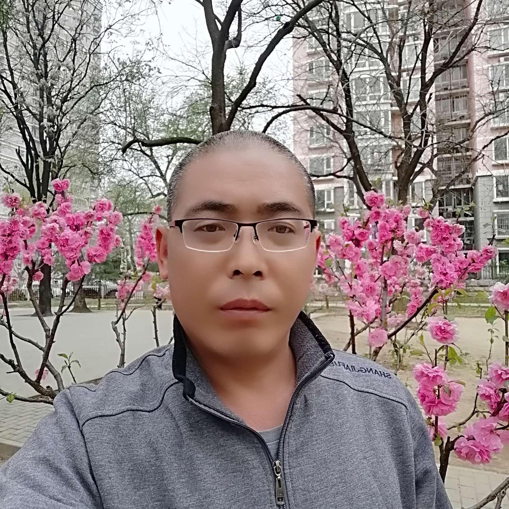 会员827047211的照片