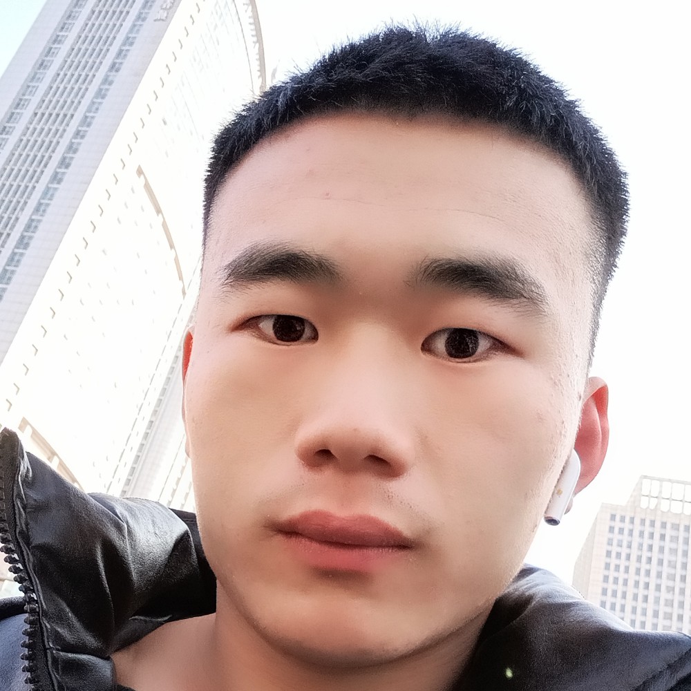 追寻的小松鼠的照片