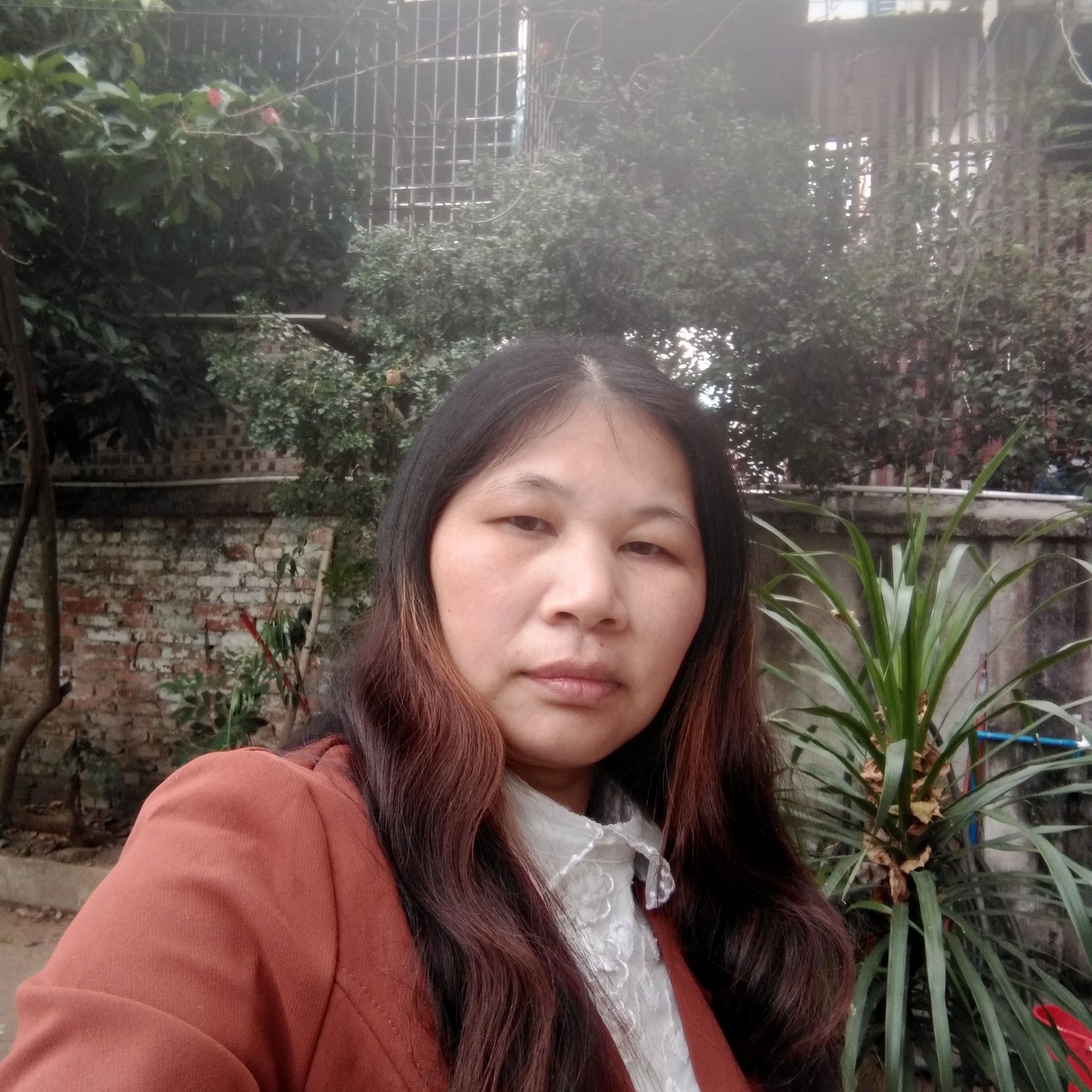 仁爱爱恋芹菜的照片