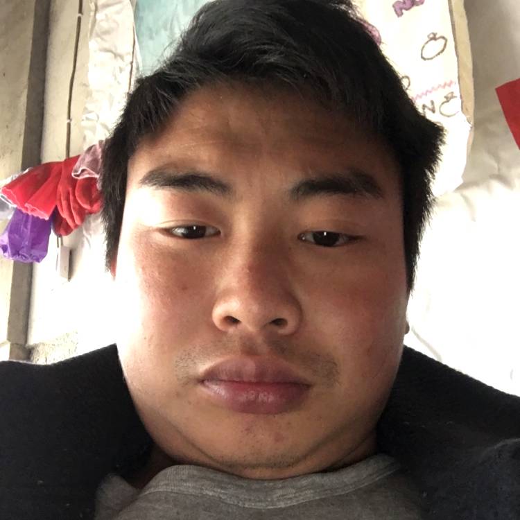 聪明笑小懒虫的照片