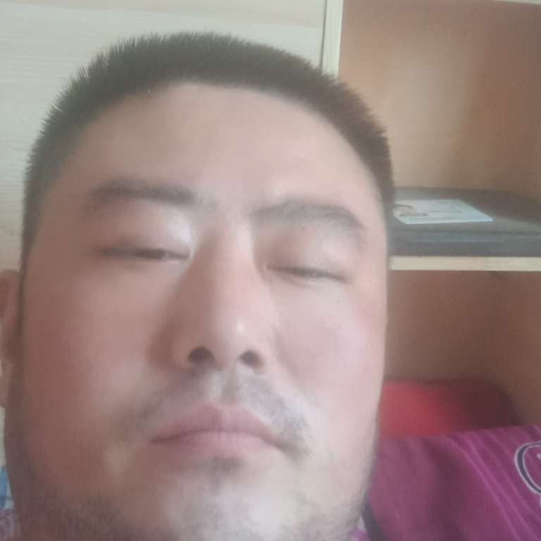 调皮苦恋老虎的照片